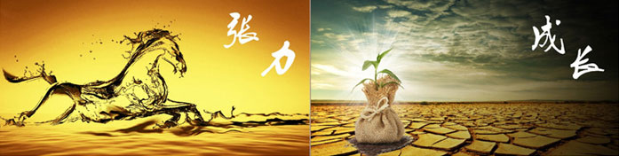 企業發展要學會取他人之長、補自己之短